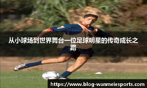 完美电竞官方网站